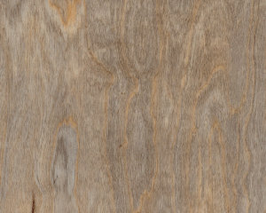 Bleached Elm<br>SF3W2516